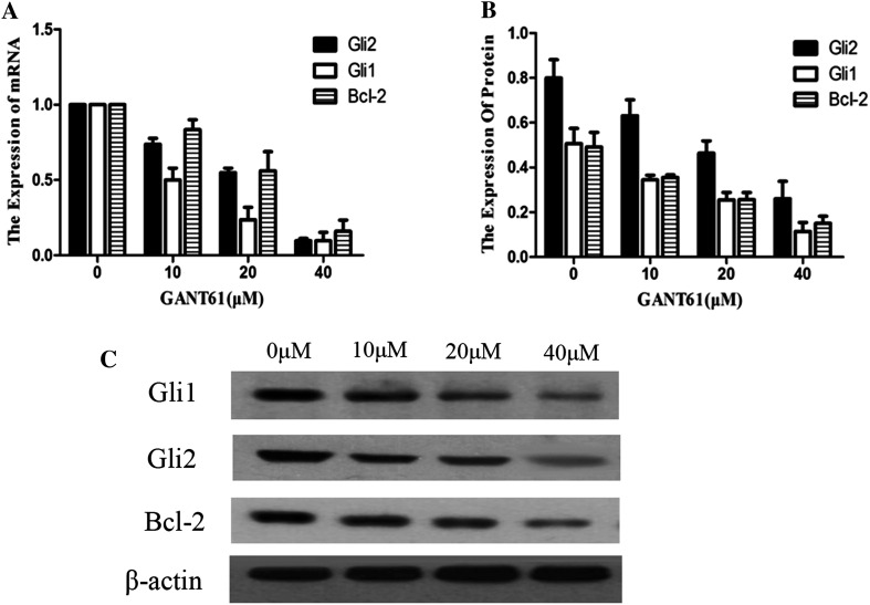 Fig. 4