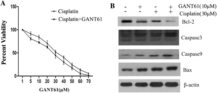 Fig. 6