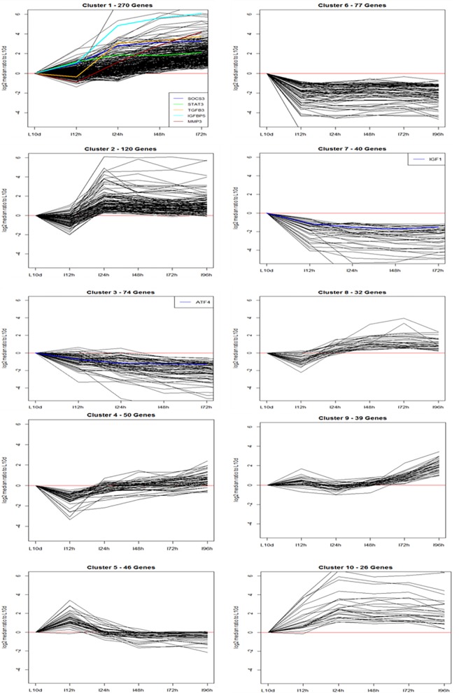 Fig 2