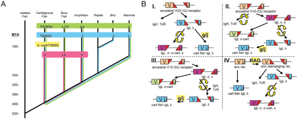 Figure 7.