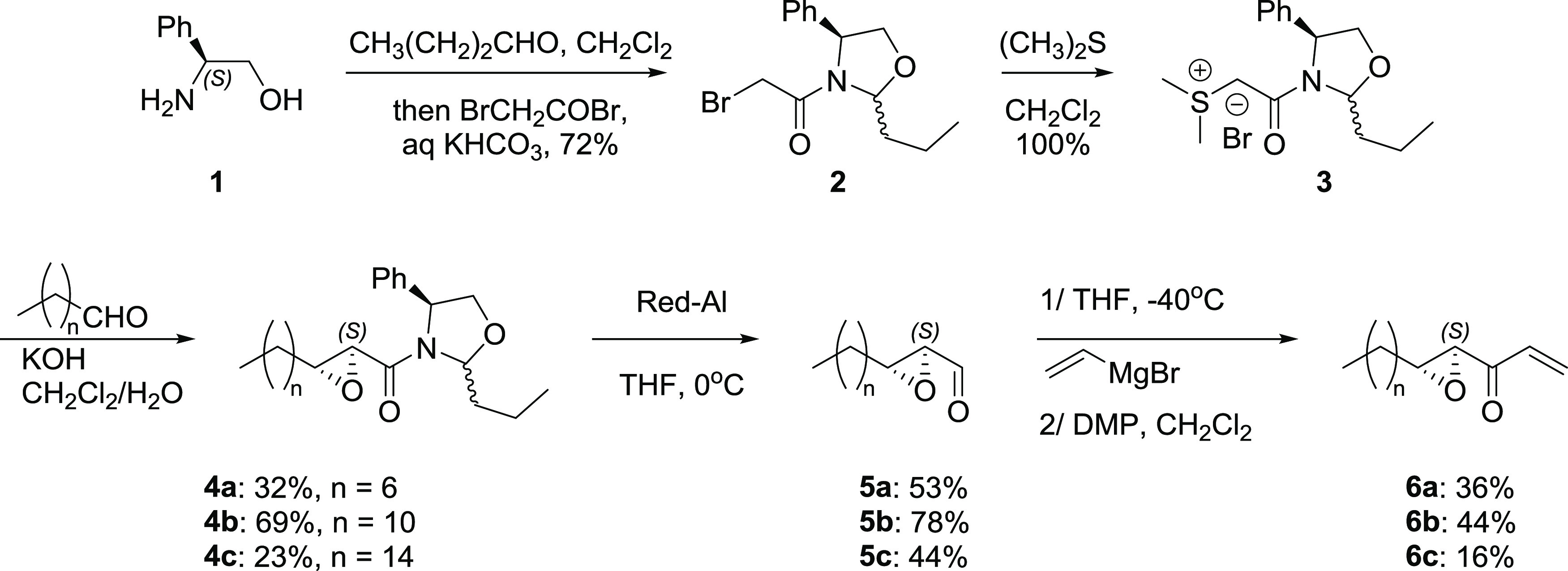 Scheme 1