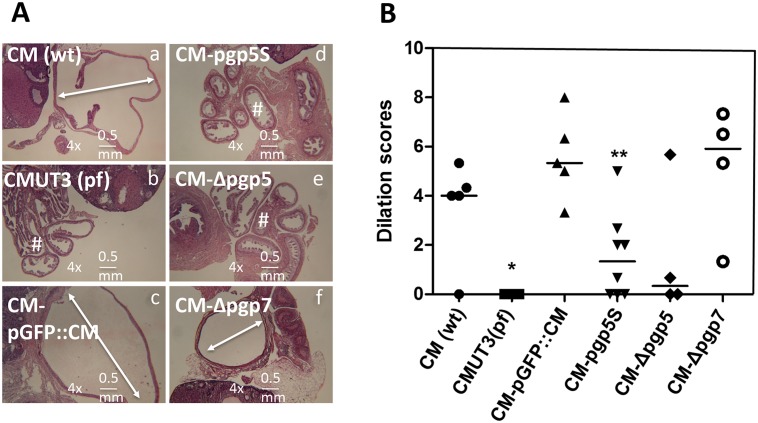 Fig 4