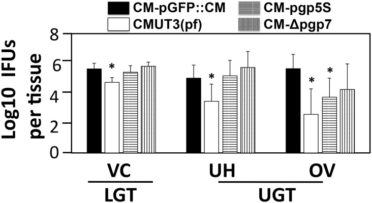 Fig 6