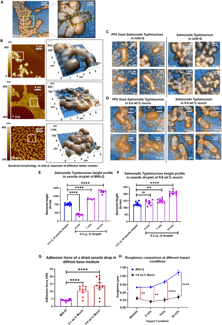 Figure 3