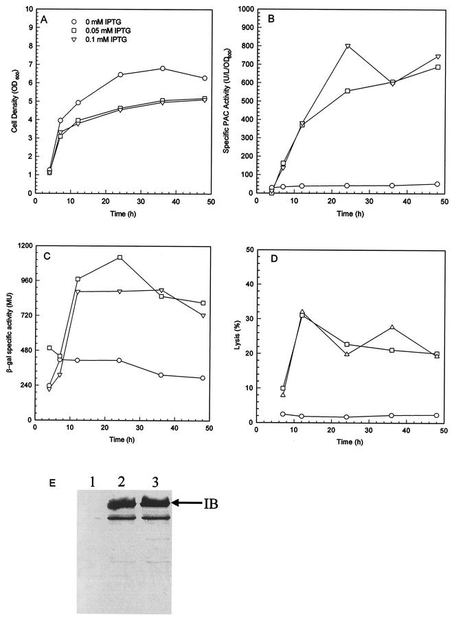 FIG.5.