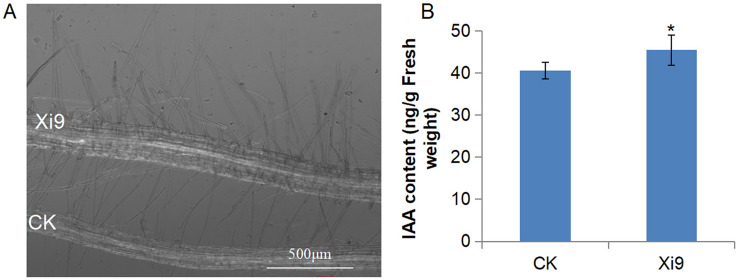 Fig. 6