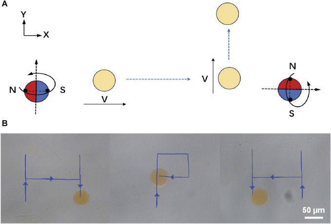 FIGURE 3