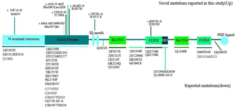 FIG. 1