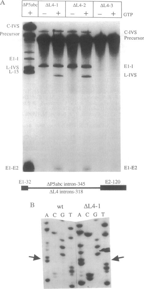 graphic file with name pnas01095-0438-a.jpg