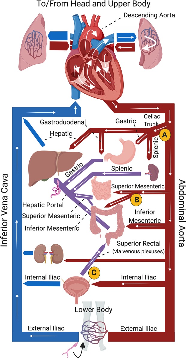 Fig 1