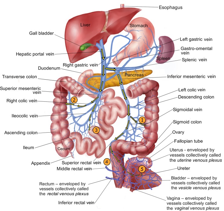 Fig 2