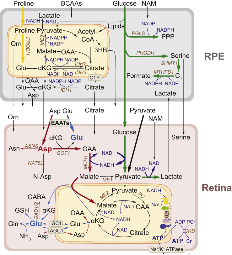 Figure 6