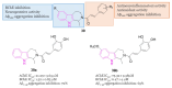 Figure 24