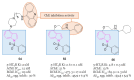 Figure 36