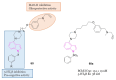 Figure 38