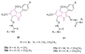 Figure 20