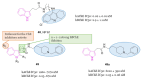 Figure 33