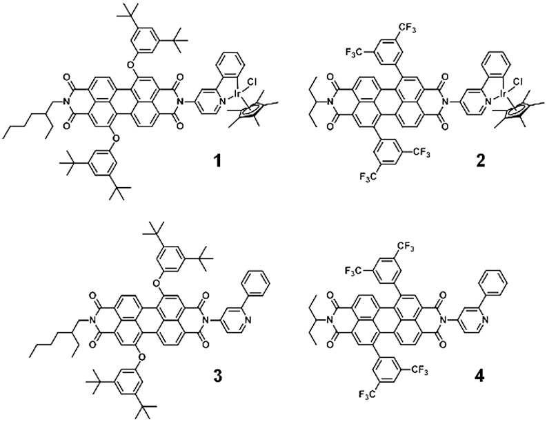 Fig. 1.