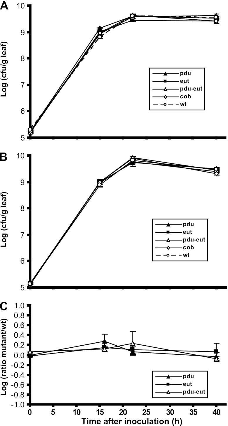 Fig 7