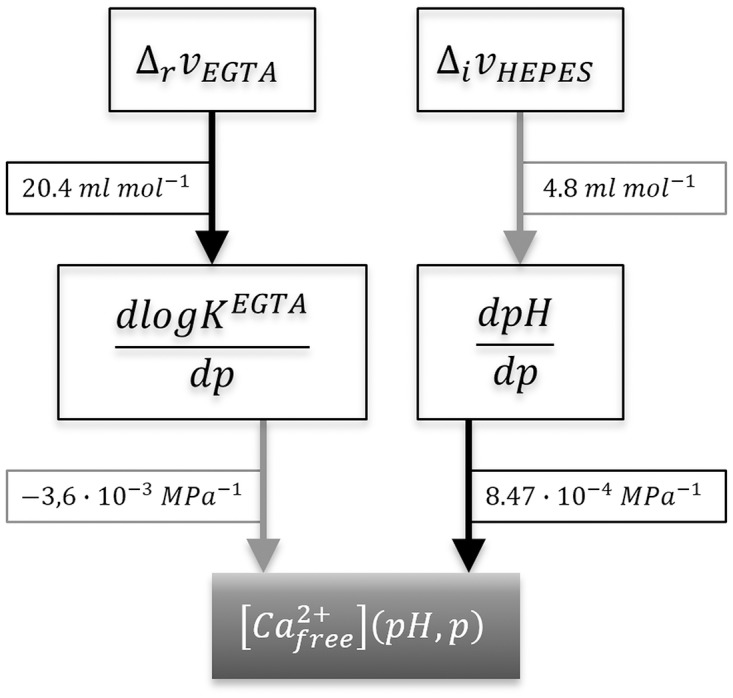 Fig 5