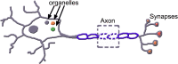 Fig. 3