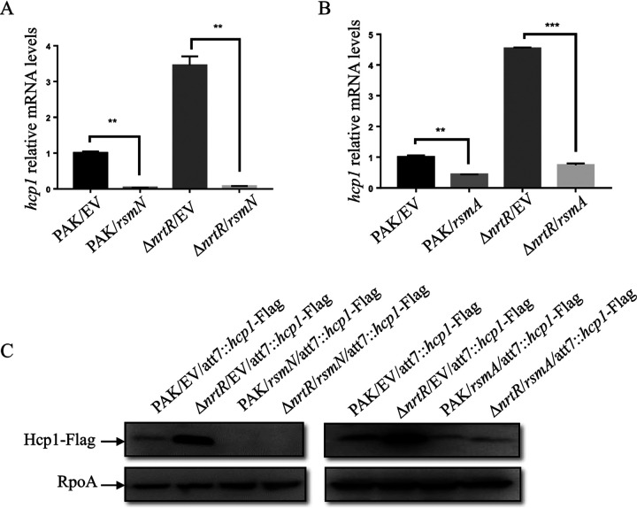 FIG 3