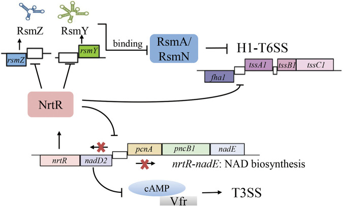 FIG 6