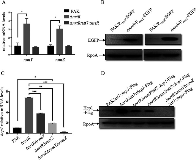 FIG 2