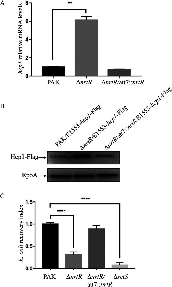 FIG 1