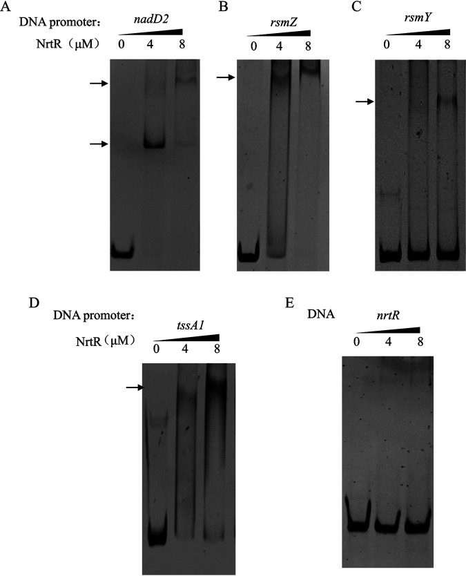 FIG 4