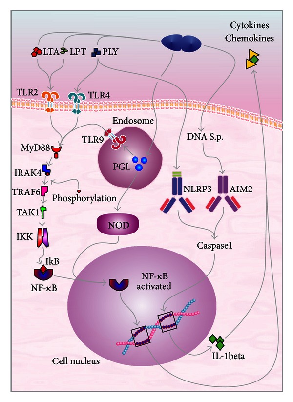 Figure 2