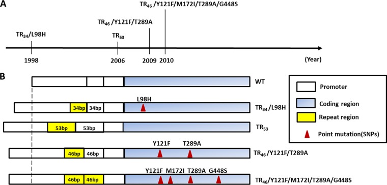 FIG 1 