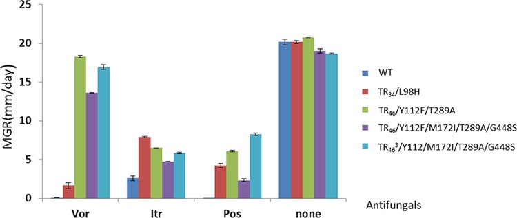 FIG 4 