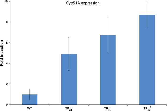 FIG 5 