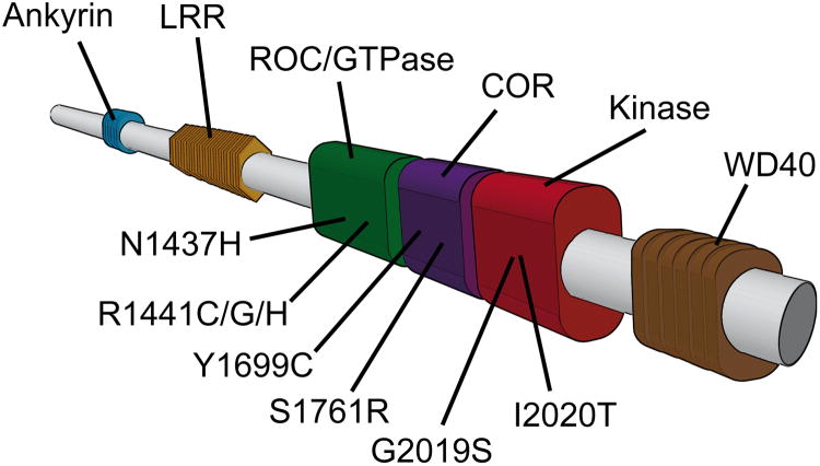 Fig. 1