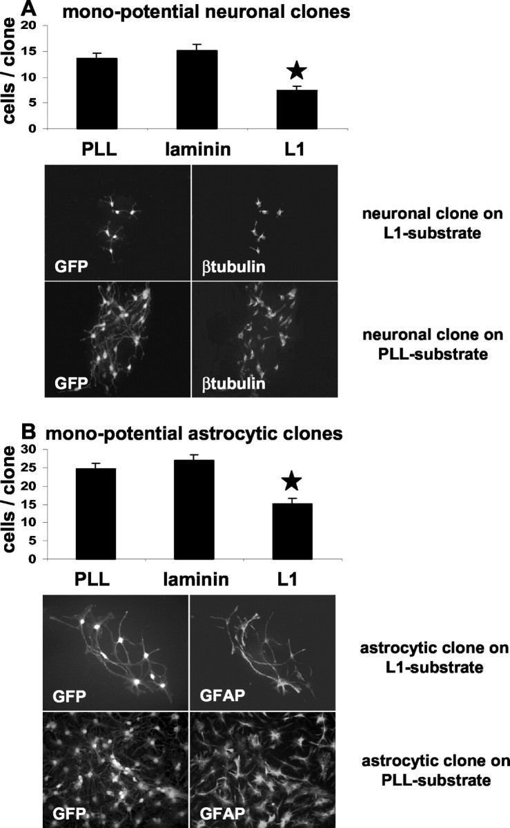 Figure 9.