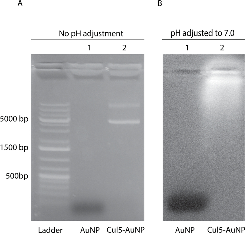 Figure 7.