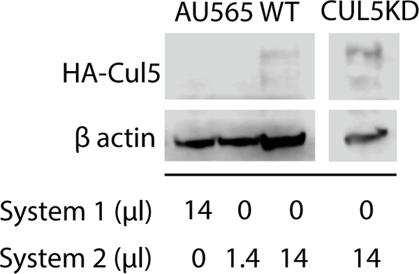 Figure 10.