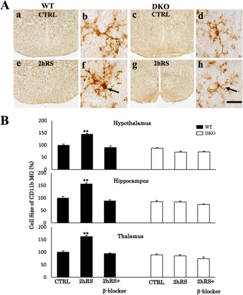 Fig. 12