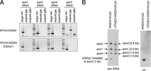 FIG. 7.