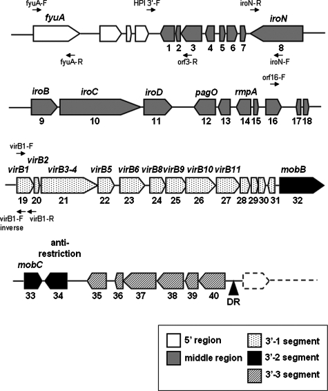 FIG. 2.