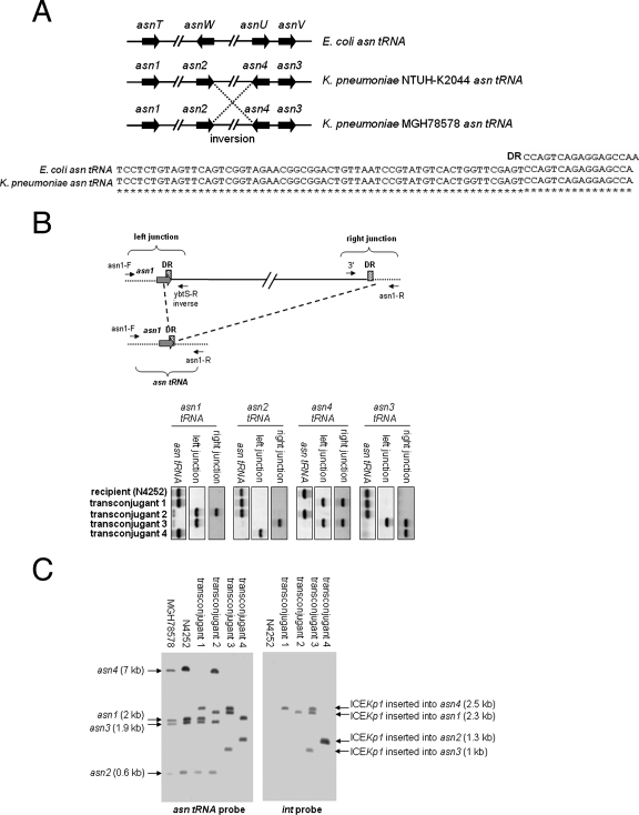 FIG. 6.