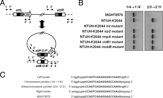 FIG. 4.