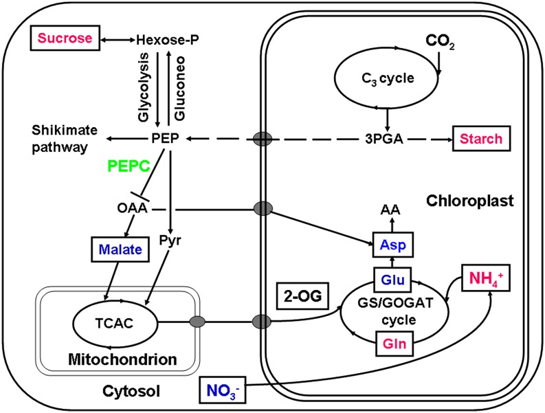 Figure 6.