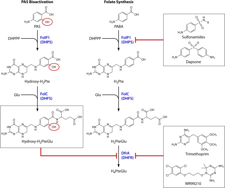 FIG 2