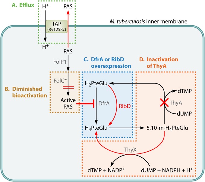 FIG 3