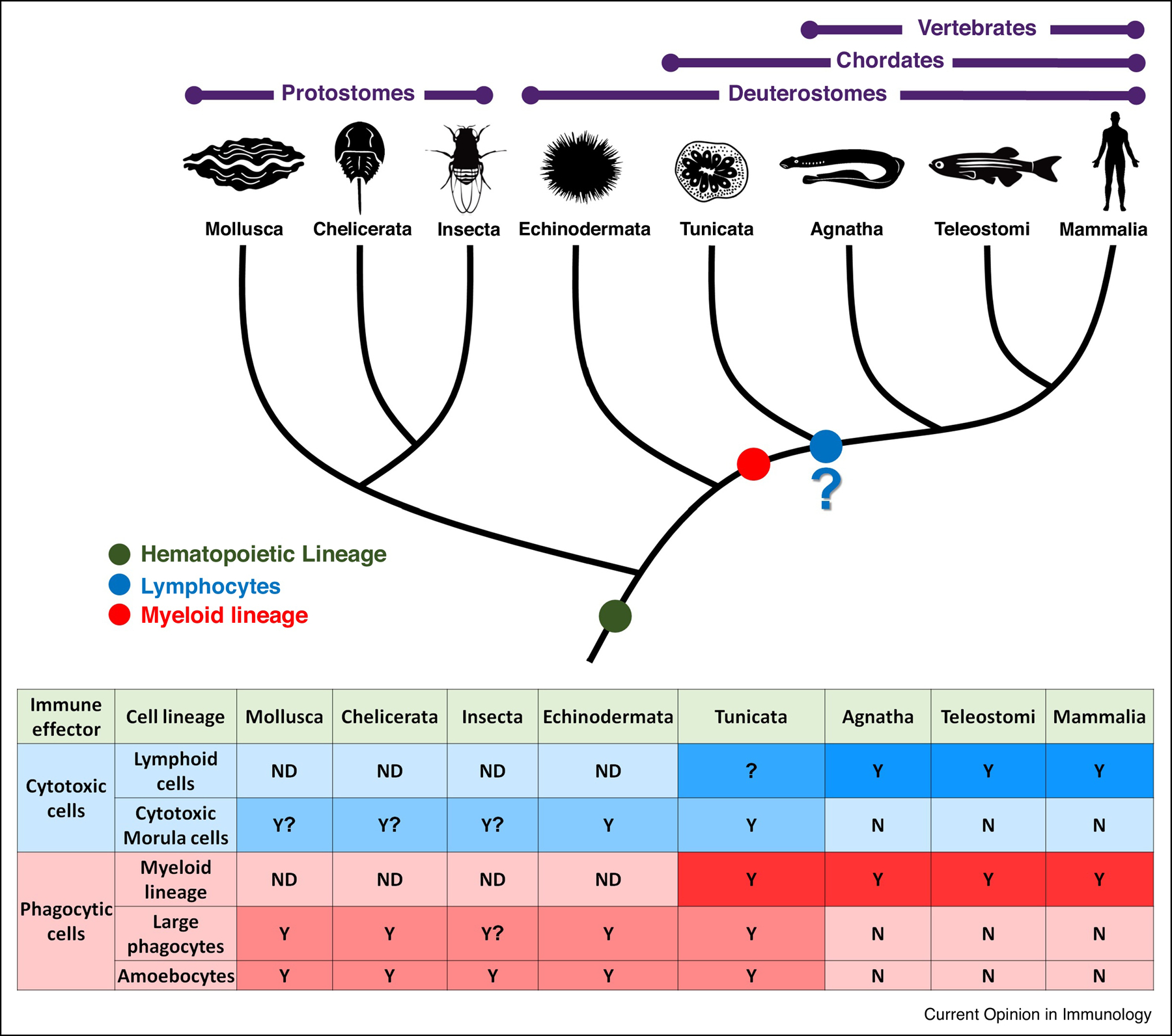 Figure 3: