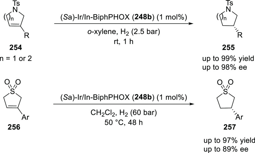 Scheme 75