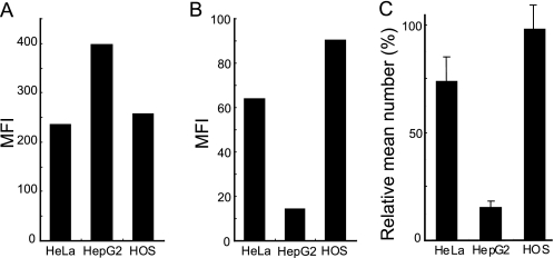 FIGURE 7.