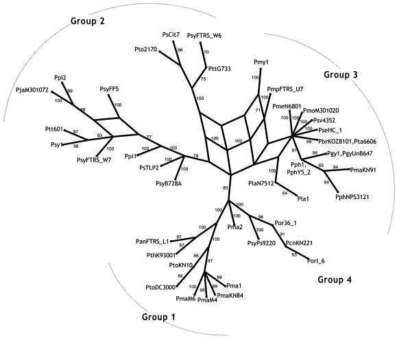 FIG. 4.